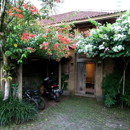 Artist Eco Villa In Ubud Exteriör bild